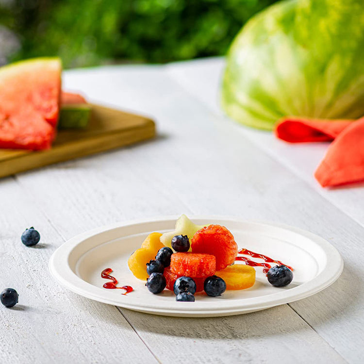 Microwave & Oven Safe Plates